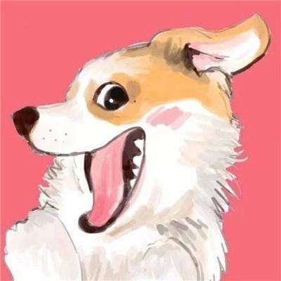 胡桃日记国际版下载